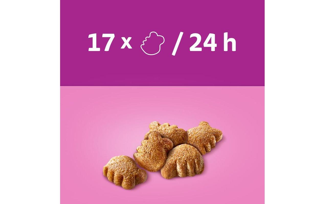 Katzen-Snack Dentabites mit Huhn, 6 x 40gErgänzungsfuttermittel für Katzen