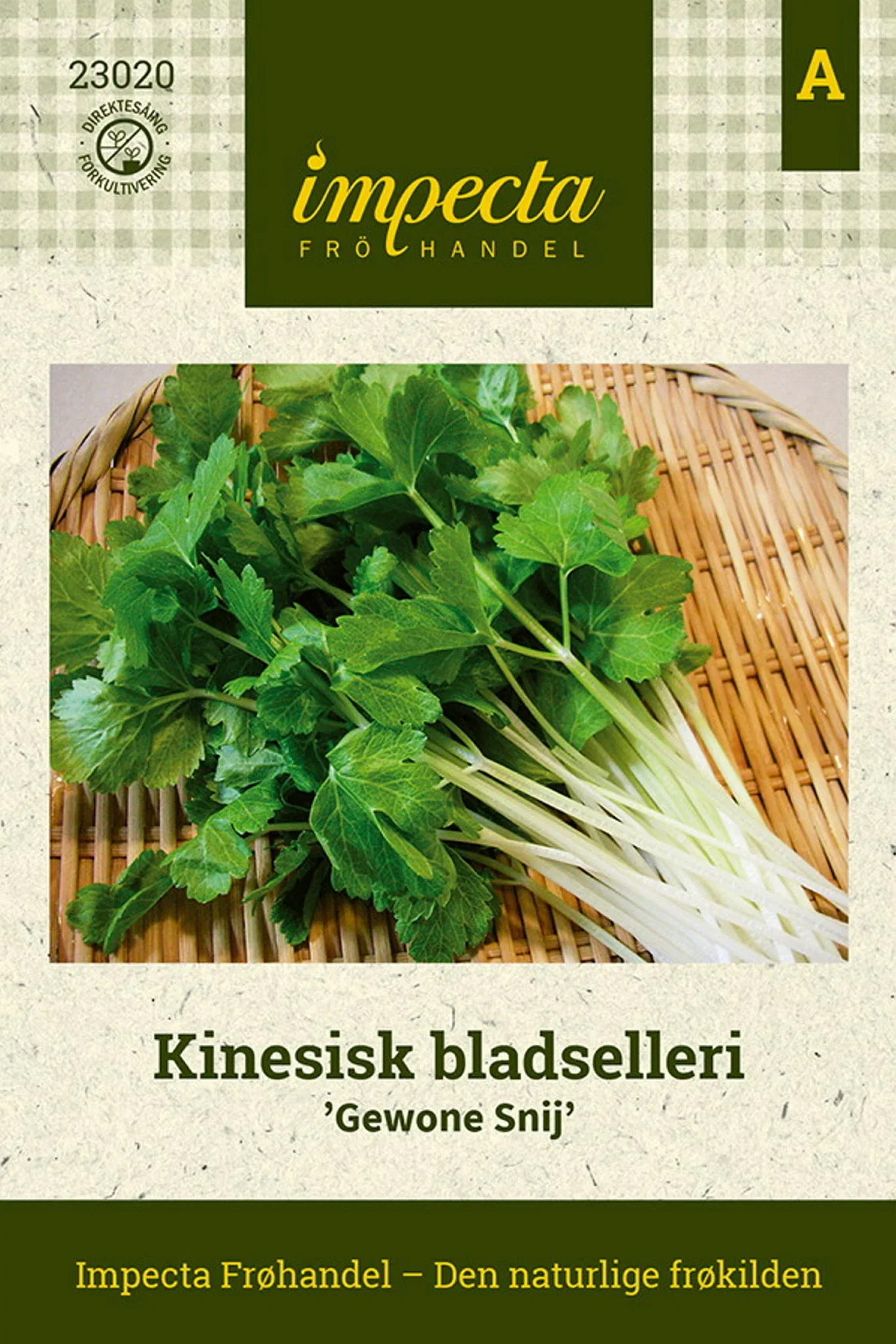 Apium graveolens 'Gewone Snij' Kinesisk bladselleri 'Gewone Snij'