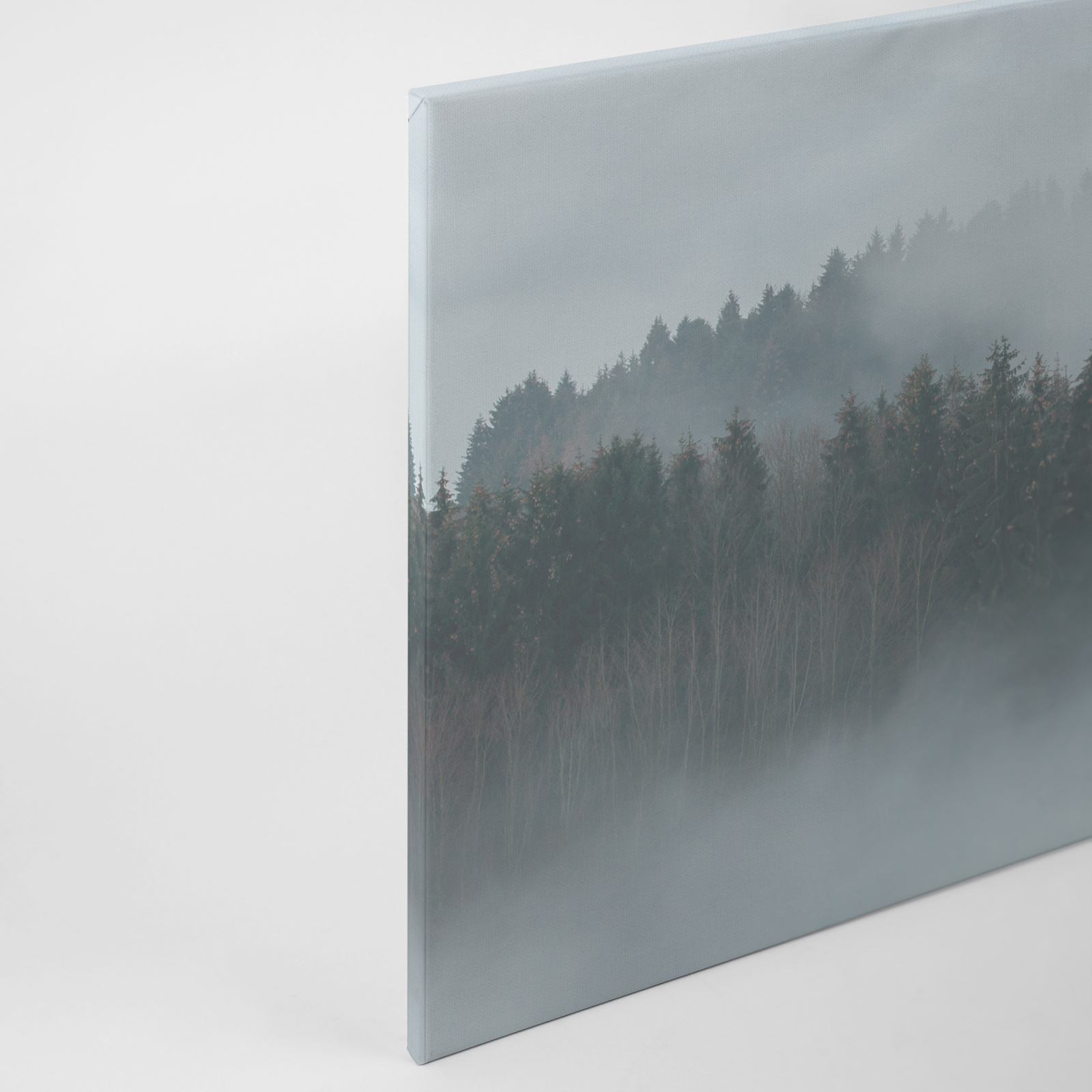 Leinwandbild WALD - grau - 90x60 cm