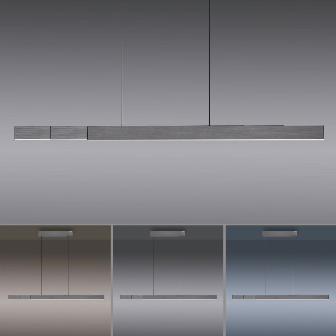 Paul Neuhaus Pendelleuchte PURE-MOTO-RISE