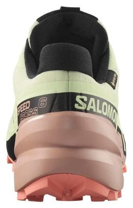 Chaussures Trail Salomon Speedcross 6 GTX Vert/Rose Femme
