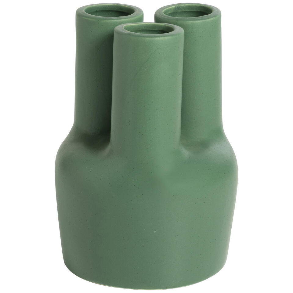 Vaas Cantone Groen