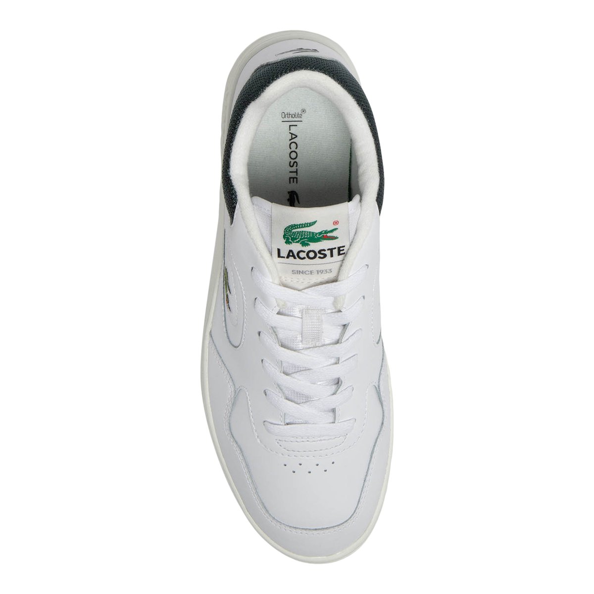 LACOSTE-Lineset-m-Baskets - Talon plat - Blanc