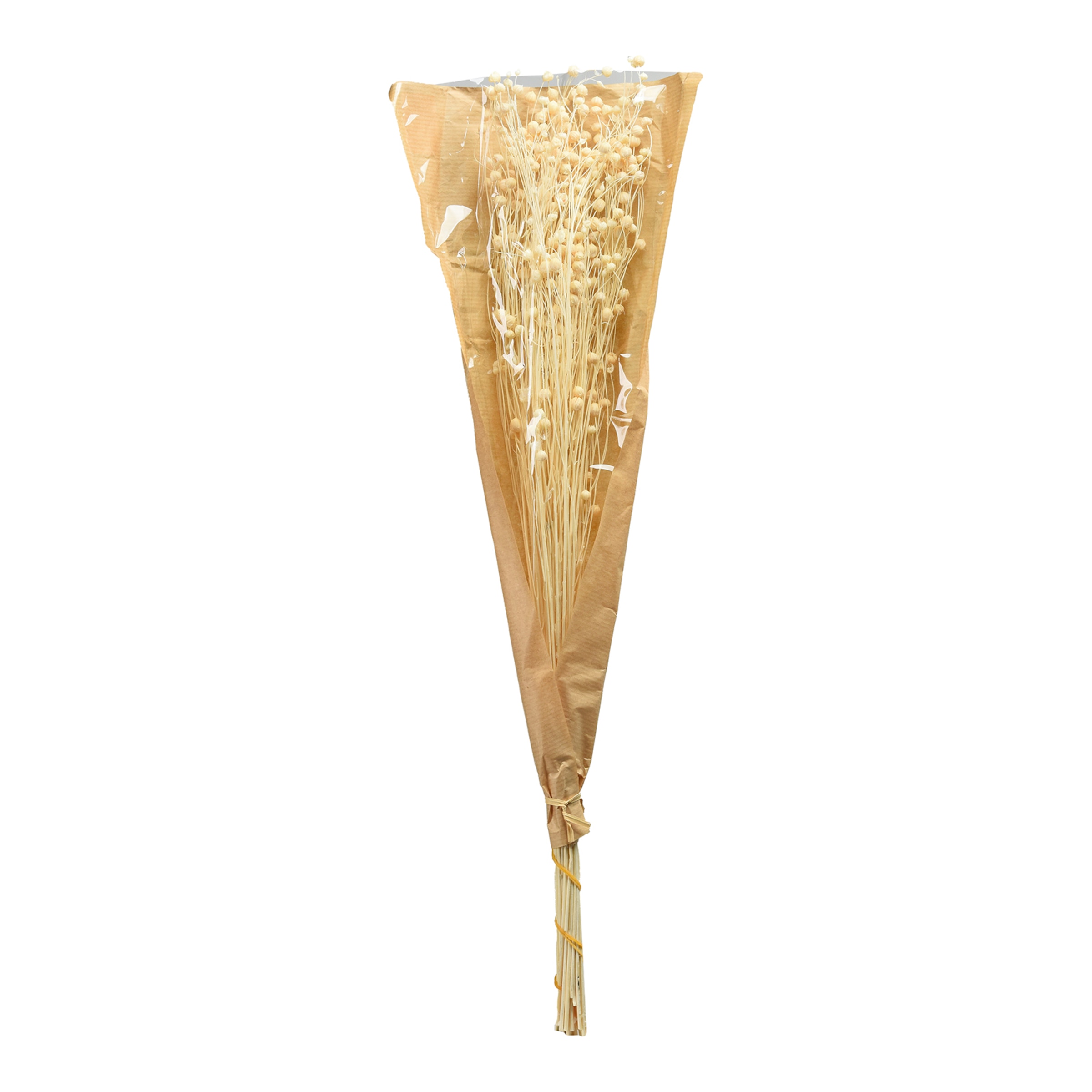 natur, L 55 cm