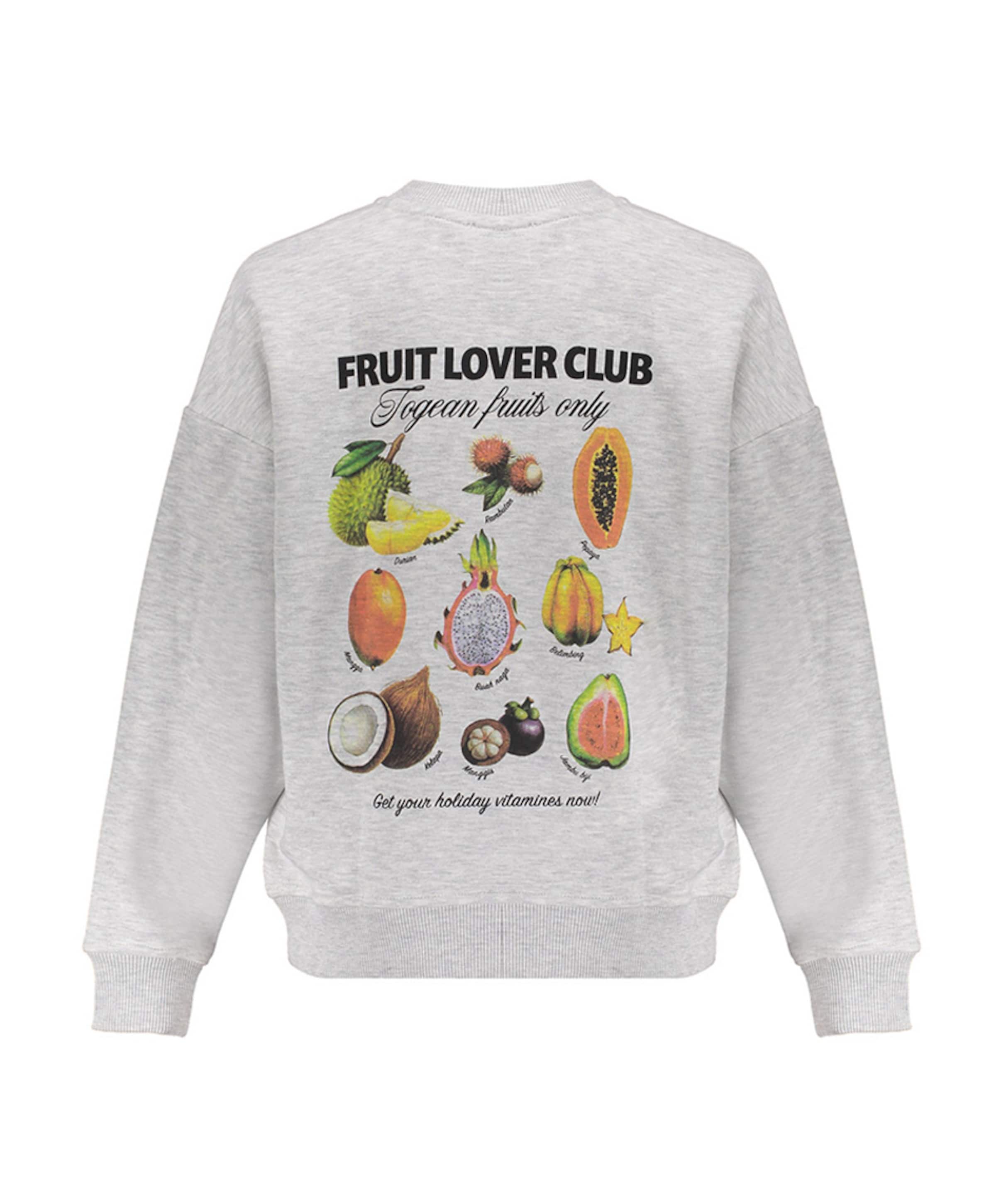 Frankie & Liberty Meisjes sweater grijs
