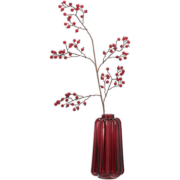 Blokker Vaas Wendy - 15x15x30 cm - Rood