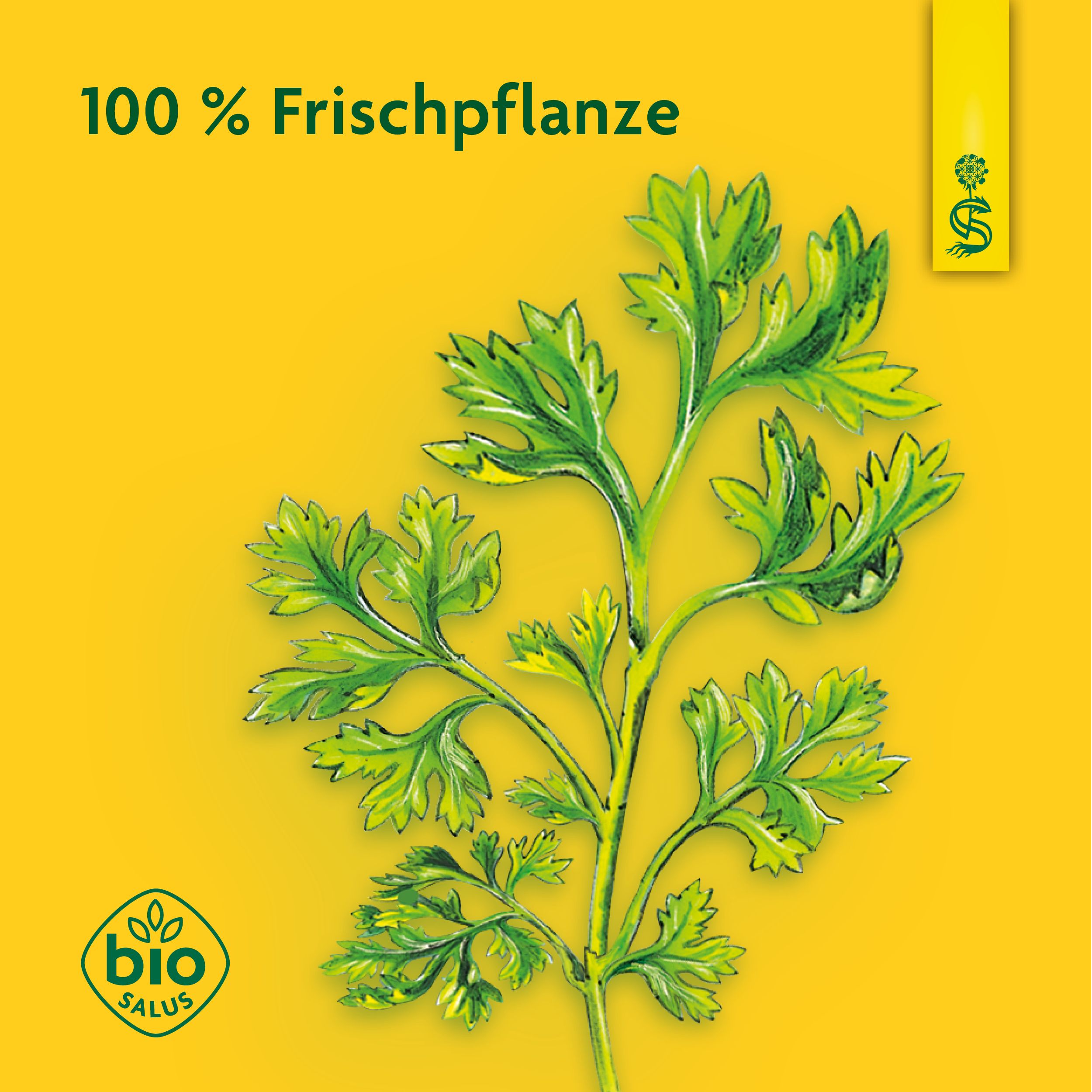 Schoenenberger® naturreiner Pflanzensaft Petersilie