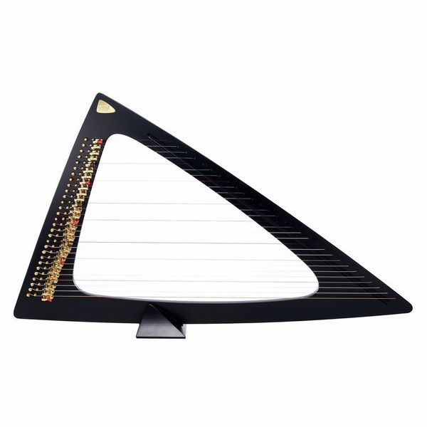 Salvi Delta Electric Harp