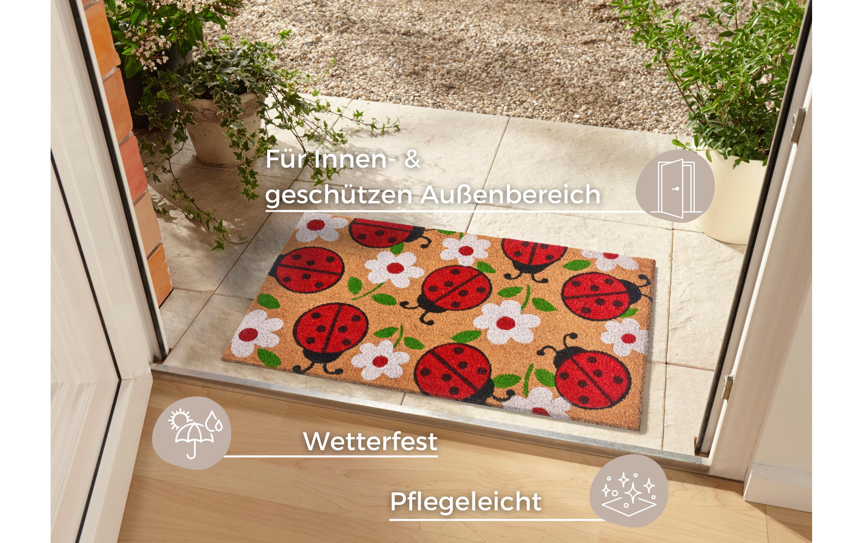 Fussmatte Marienkäfer 45 cm x 75 cm, Braun/RotRutschfeste Türmatte