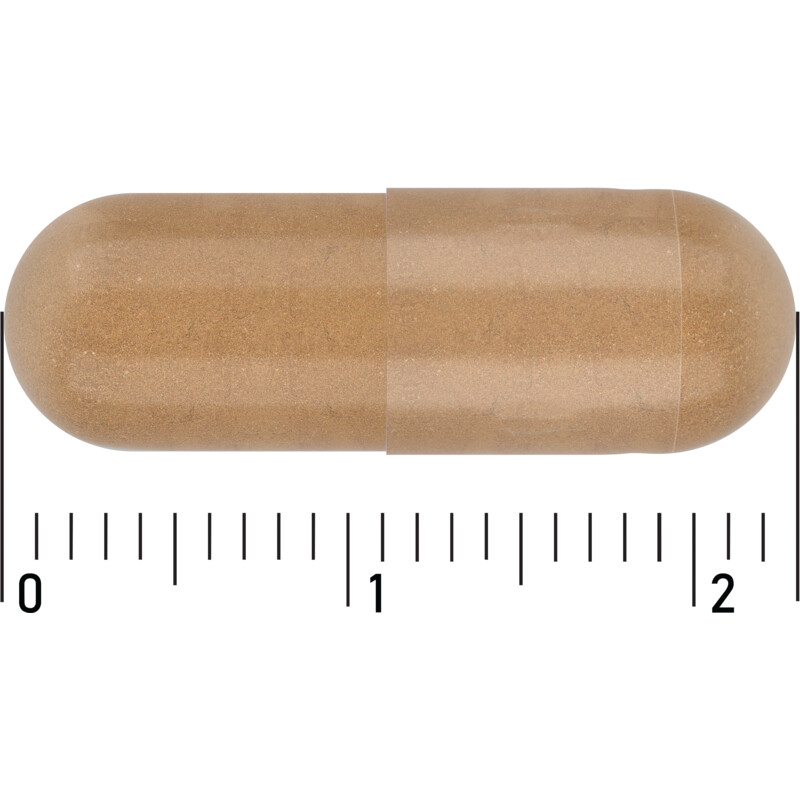Care Gemberpoeder 500mg