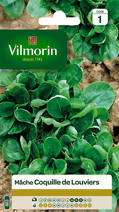 Graines de Mâche Verte de Louviers Vilmorin