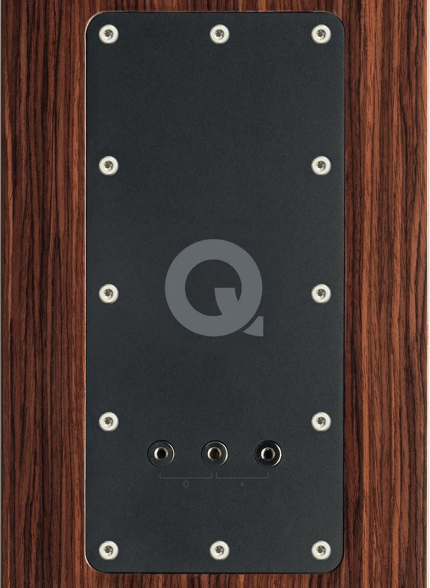 Chaîne Q Acoustics Concept 500 / Cayin CS-88A KT88 / QED Genesis comprenant la paire d'enceintes Q Acoustics Concept 500 Noir, l'amplificateur stéréo Cayin CS-88A KT88 Noir et la paire de câbles d'enceintes montés QED Genesis (2x2,5m) Chaînes Grand S