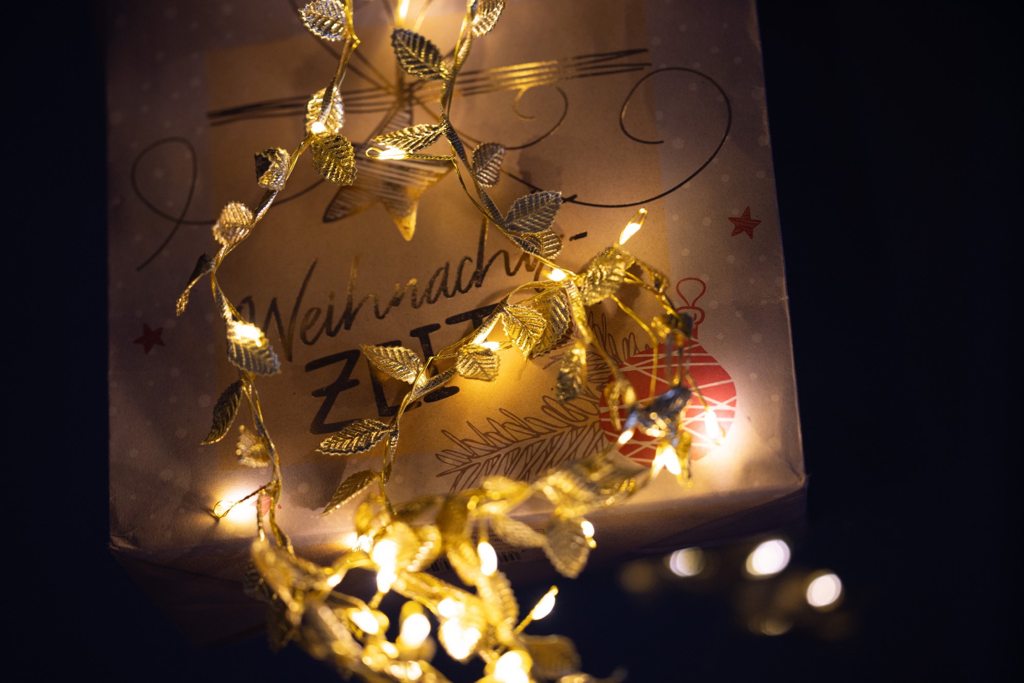 Lichterkette 'Leaves' gold 2 m, batteriebetrieben von fischer's lagerhaus
