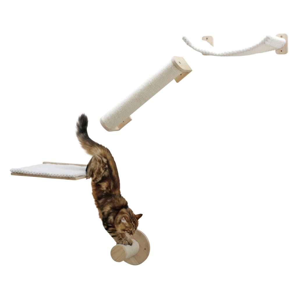 Visita guiada aos murais para gatos