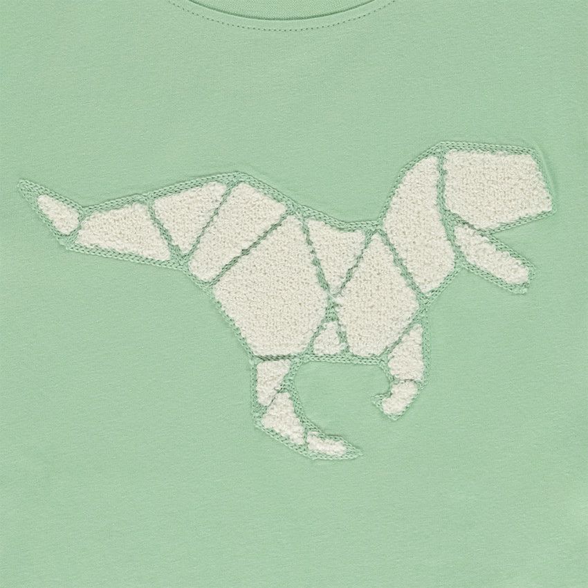 T-shirt manches courtes avec broderie effet bouclé fantaisie pour garçon - Vert