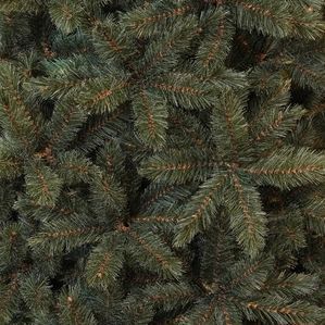 Forest Frosted Kunstkerstboom Newgrowth Blue - H155 x D119 cm | Triumph Tree