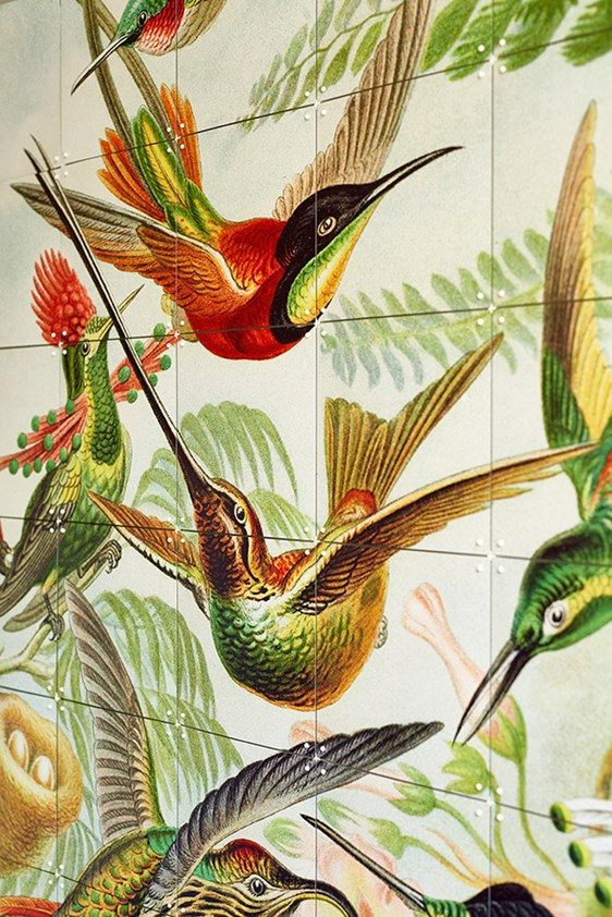 IXXI Hummingbirds 100x140 cm