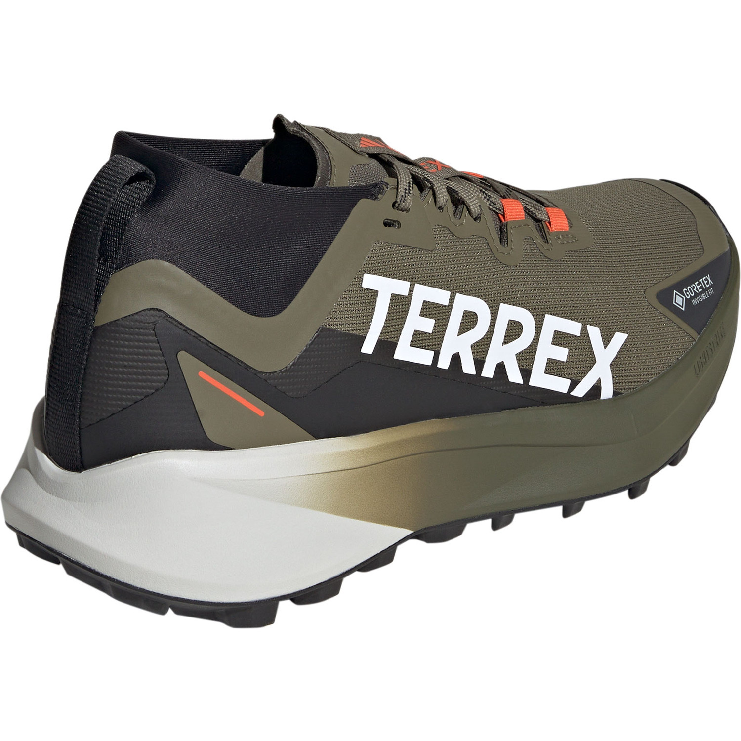adidas Terrex Agravic GTX Heren