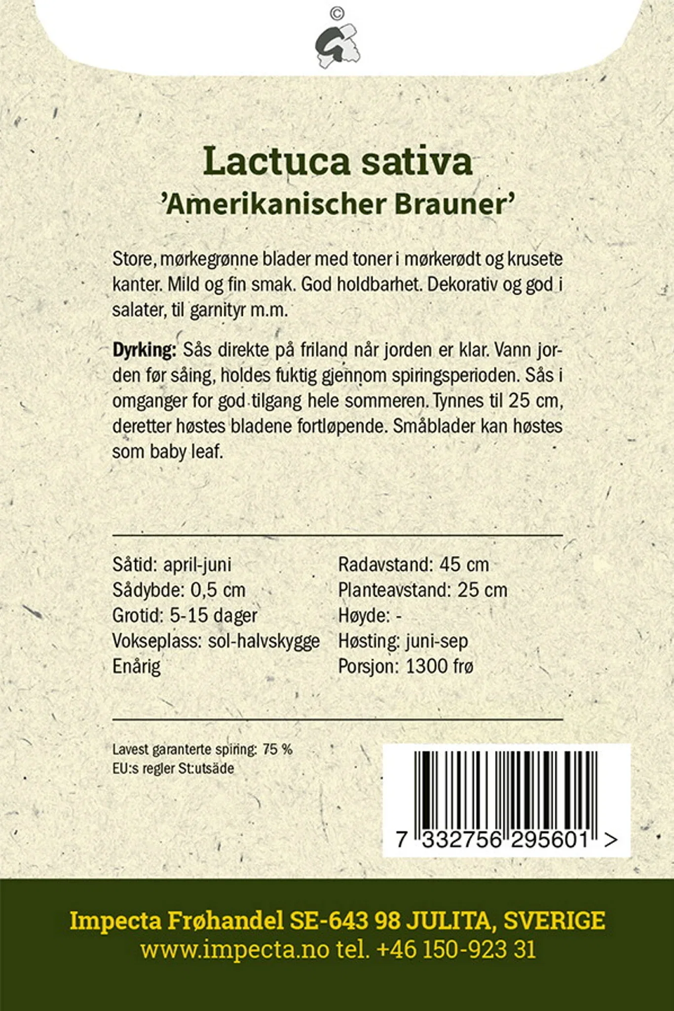 Lactuca sativa 'Amerikanischer Brauner' Plukksalat 'Amerikanischer Brauner'