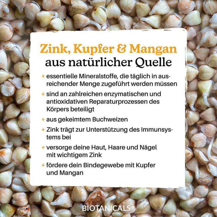 Biotanicals Zink Kapseln, 120 St