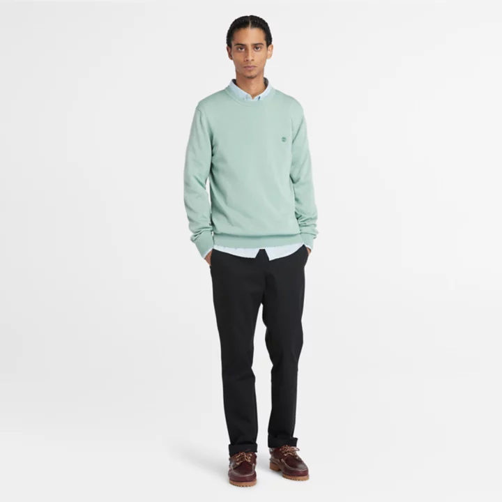 Pull à col rond Williams River pour homme en vert