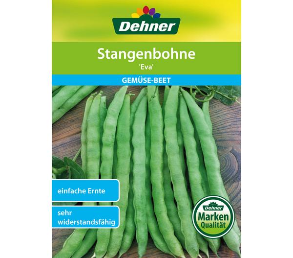 Dehner Samen Stangenbohne 'Eva'