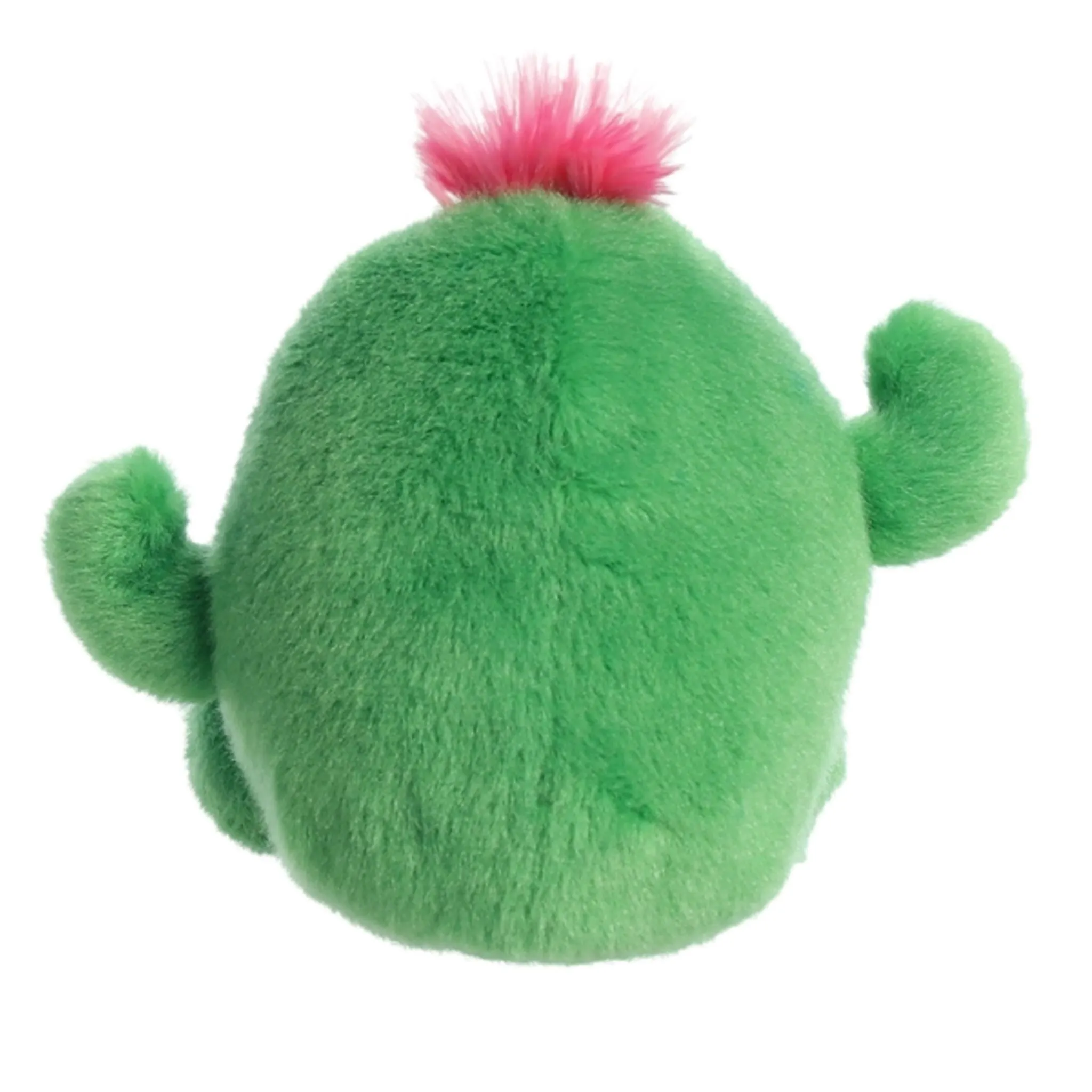 Aurora Cactus Souriant 5