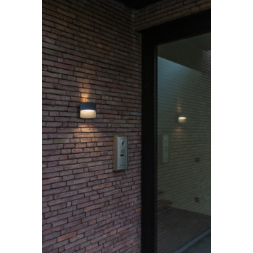 Lutec buitenlamp Lotus antraciet
