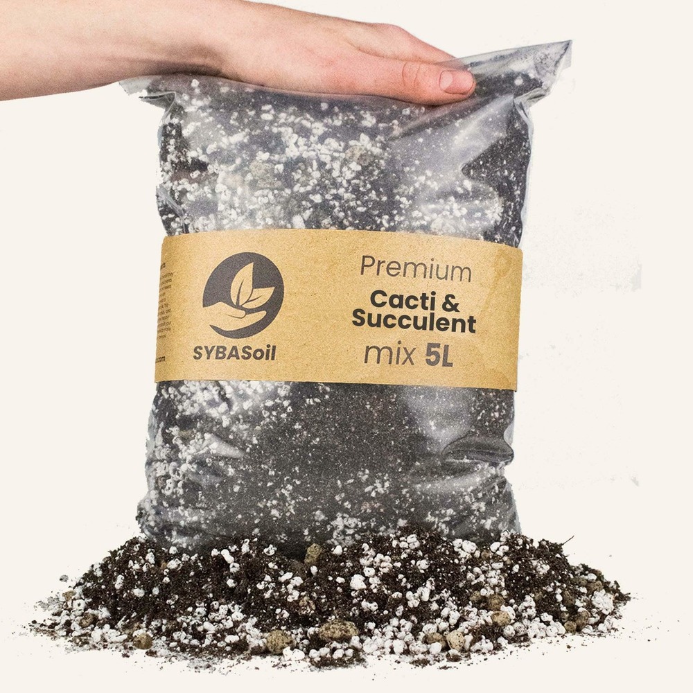 Terreau cactus et succulente - 5l