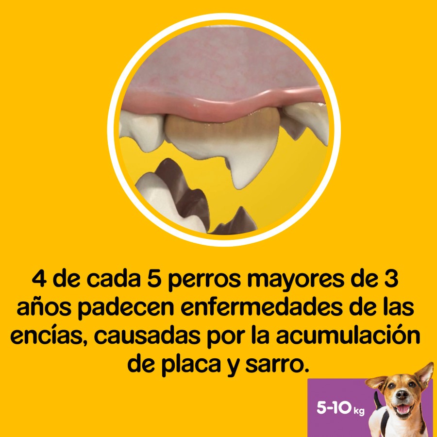 Pedigree Dentastix Petiscos Dentais Frescos para Cães de Pequeno Porte