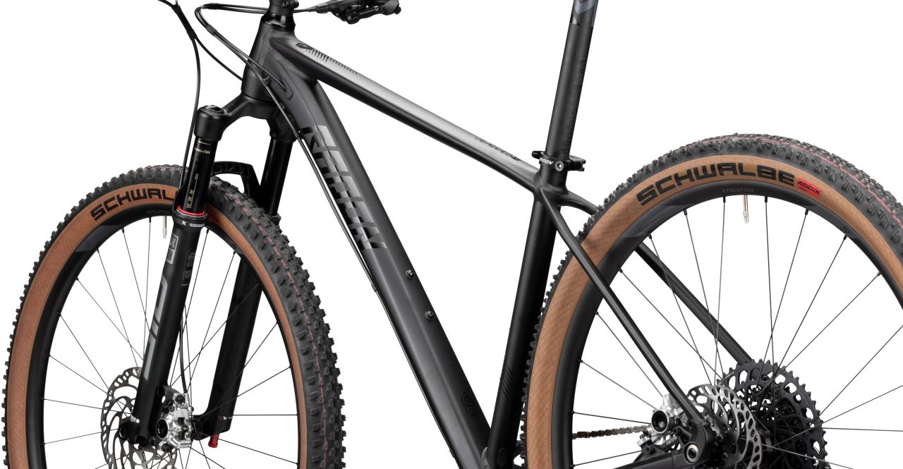 Radon Jealous AL 10.0 SL kaufen | Bike-Discount