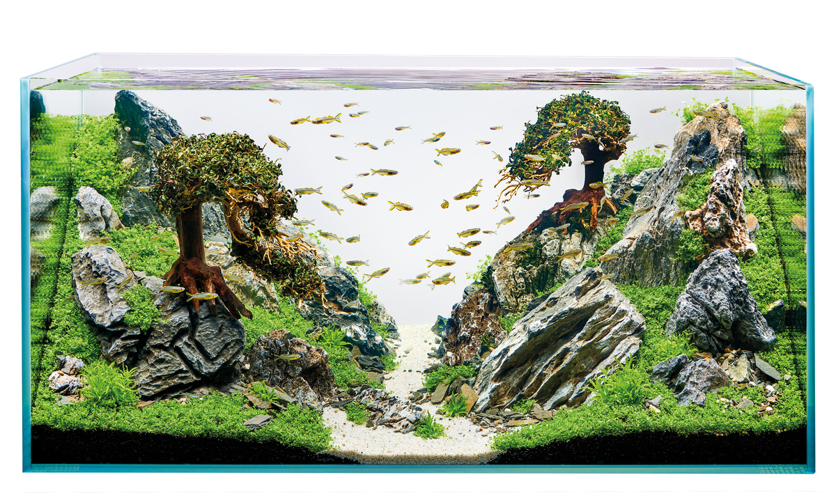 Oase ScaperLine 100 Aquarium | Aquascaping