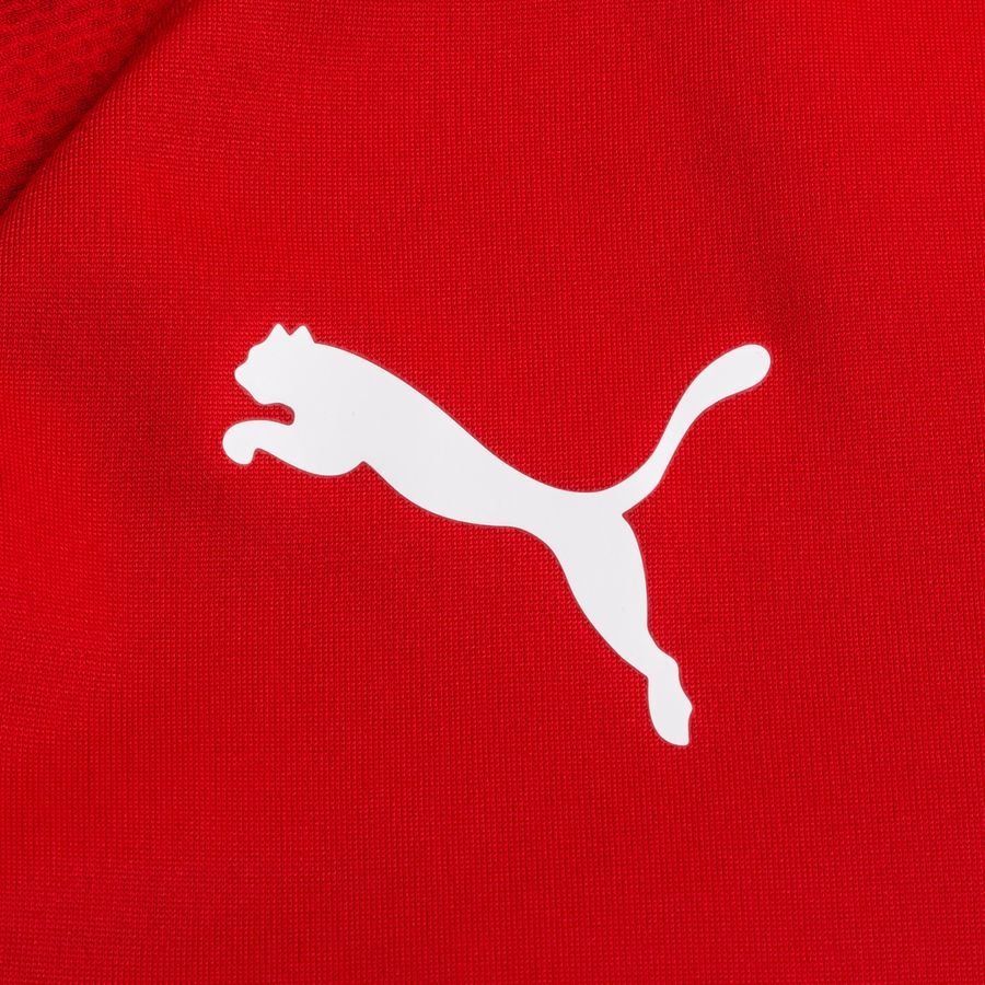 PUMA Maillot d'Entraînement teamLIGA Fermeture Éclair 1/4 - Rouge/Noir