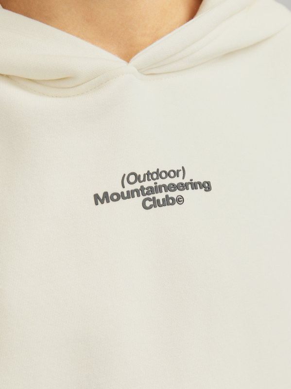 Jack&jones - Jcoalpha Mountain Print Sweat Hood Jnr - Jongens - Sweaters