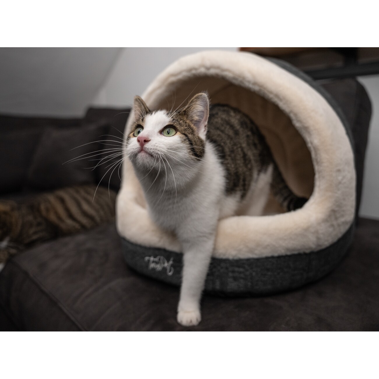 TrendPet LunaHome Kuschelhöhle beige S