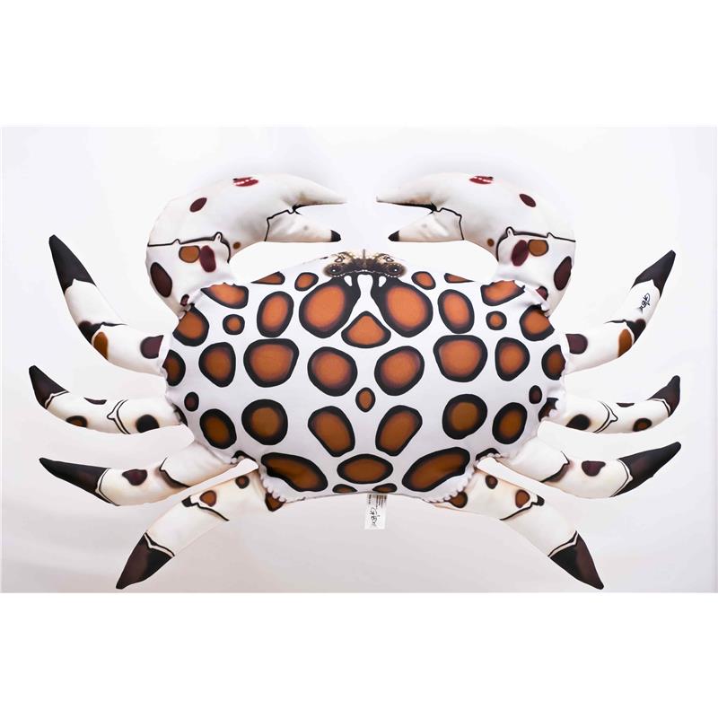 Coussin Crabe Floride Calico Gaby