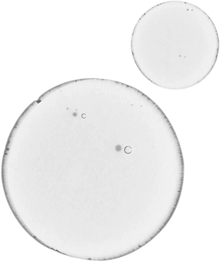 The Ordinary BALANCING & CLARIFYING S 30ML/1FLOZ