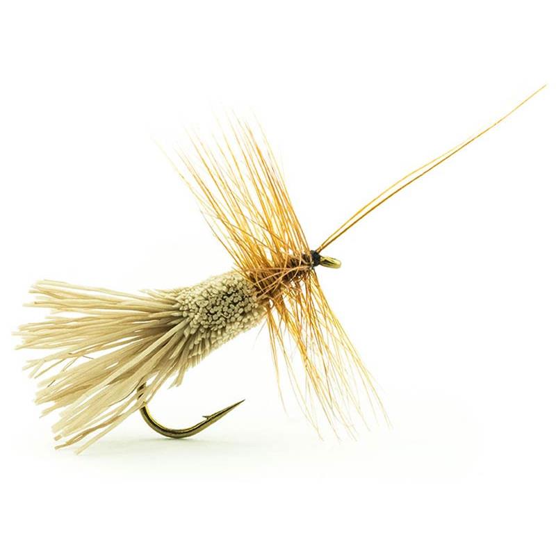 Mouche Devaux Sedge Tricoptheres Gc