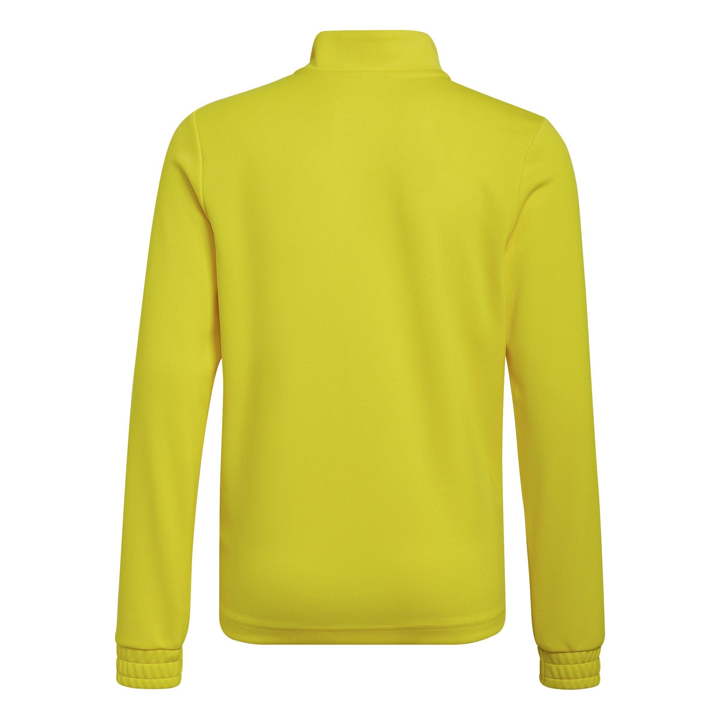 adidas Entrada 22 Training Top Juniors