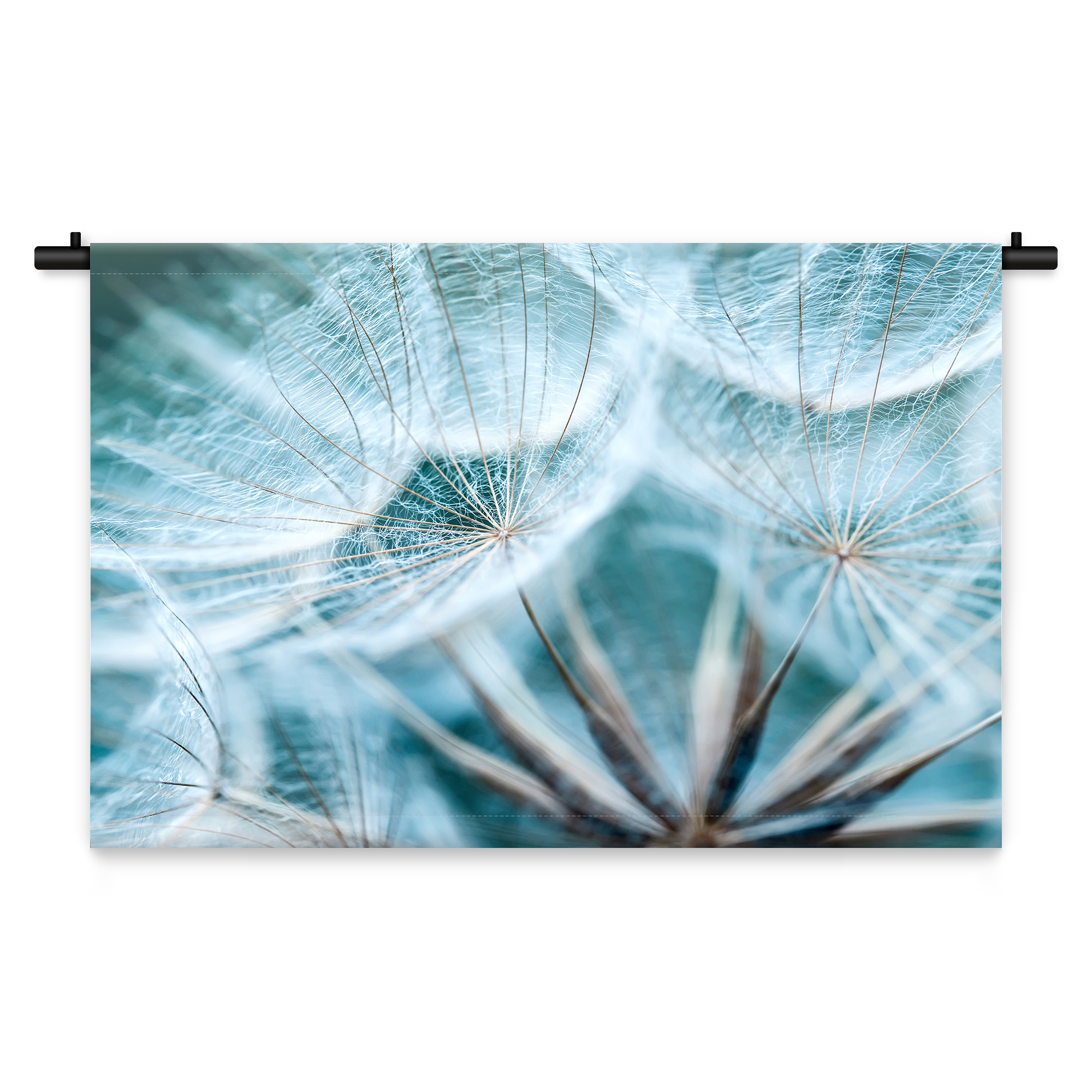 Wandkleed Paardenbloemen van dichtbij 150 x 100 cm