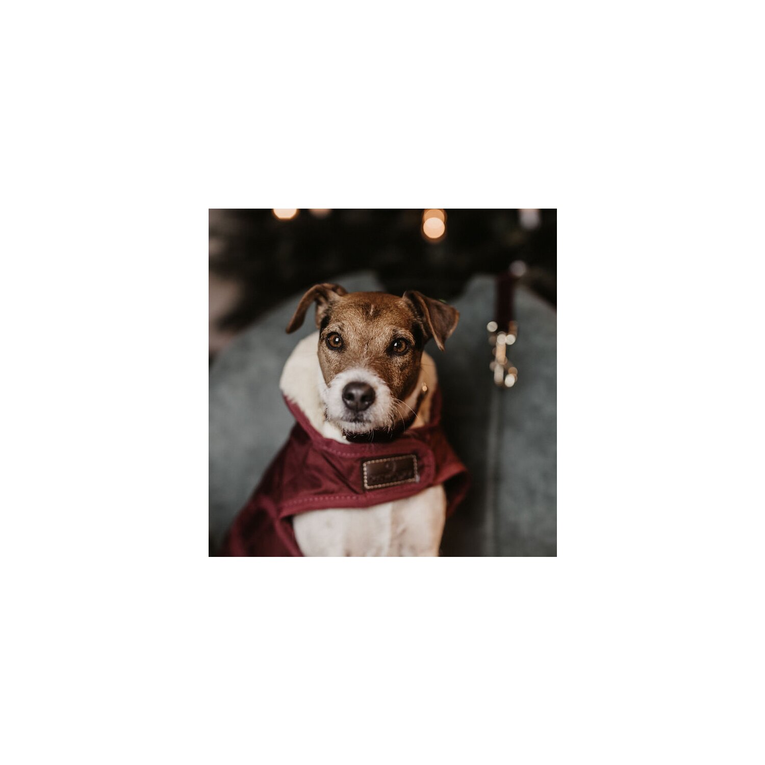 KENTUCKY DOGWEAR Hundemantel Original - bordeaux - XXL
