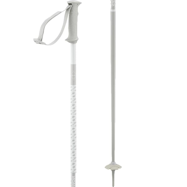 Bâton de ski SALOMON POLAR ACCESS WHITE