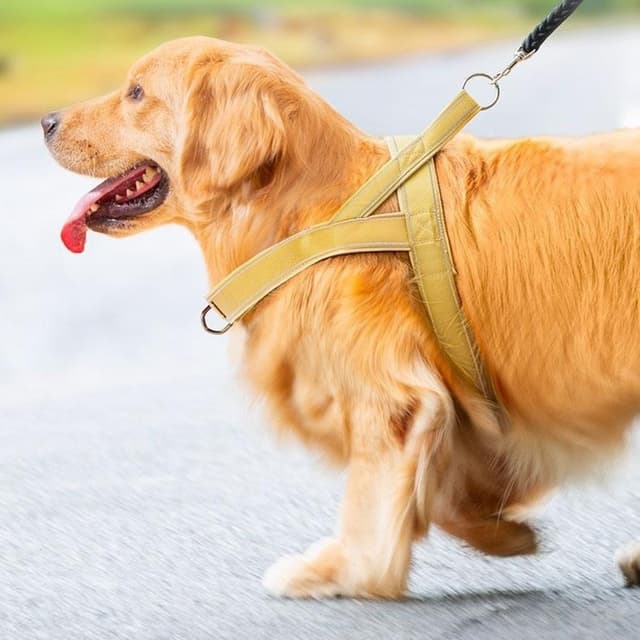 Taktisk sele med håndtag til hundetræning og gåture, størrelse S