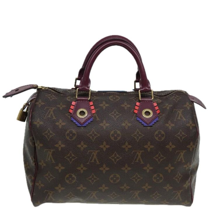 Louis Vuitton Vintage Louis Vuitton Speedy Brown