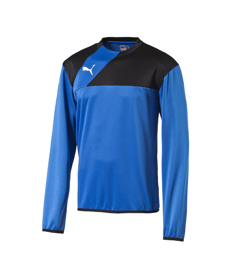PUMA Esquadra Training Sweatshirt Kids Blau F23