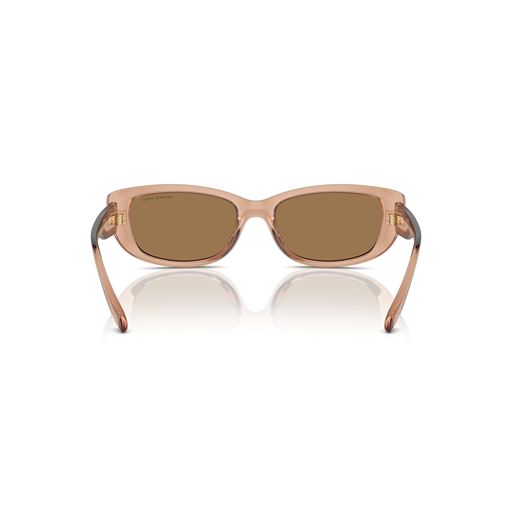 Michael Kors Asheville 0MK2210U Solbriller, Brown Transparent