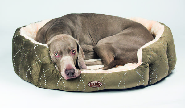 Nobby Komfortbett Ceno, oval