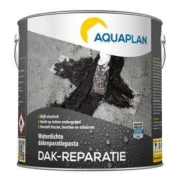 Aquaplan dakreparatiepasta 2,5 kg