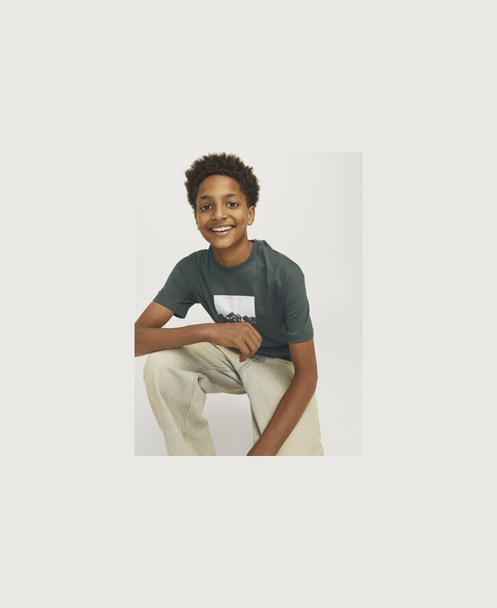 Jack & Jones JORVESTERBRO PICTURE TEE SS CREW JN Forest river/aw24
