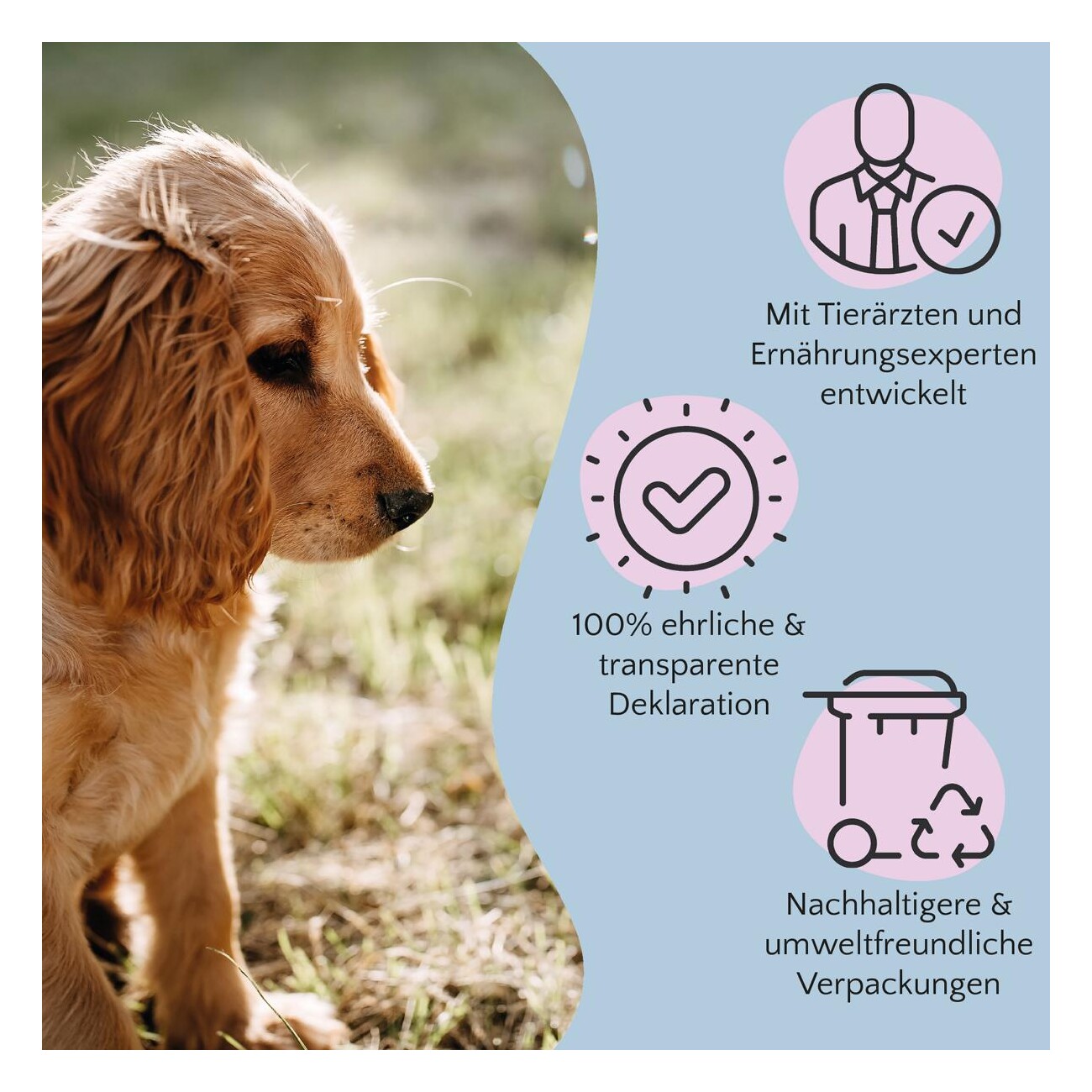 FAVLY Petfood Hühnerfüße 1 kg